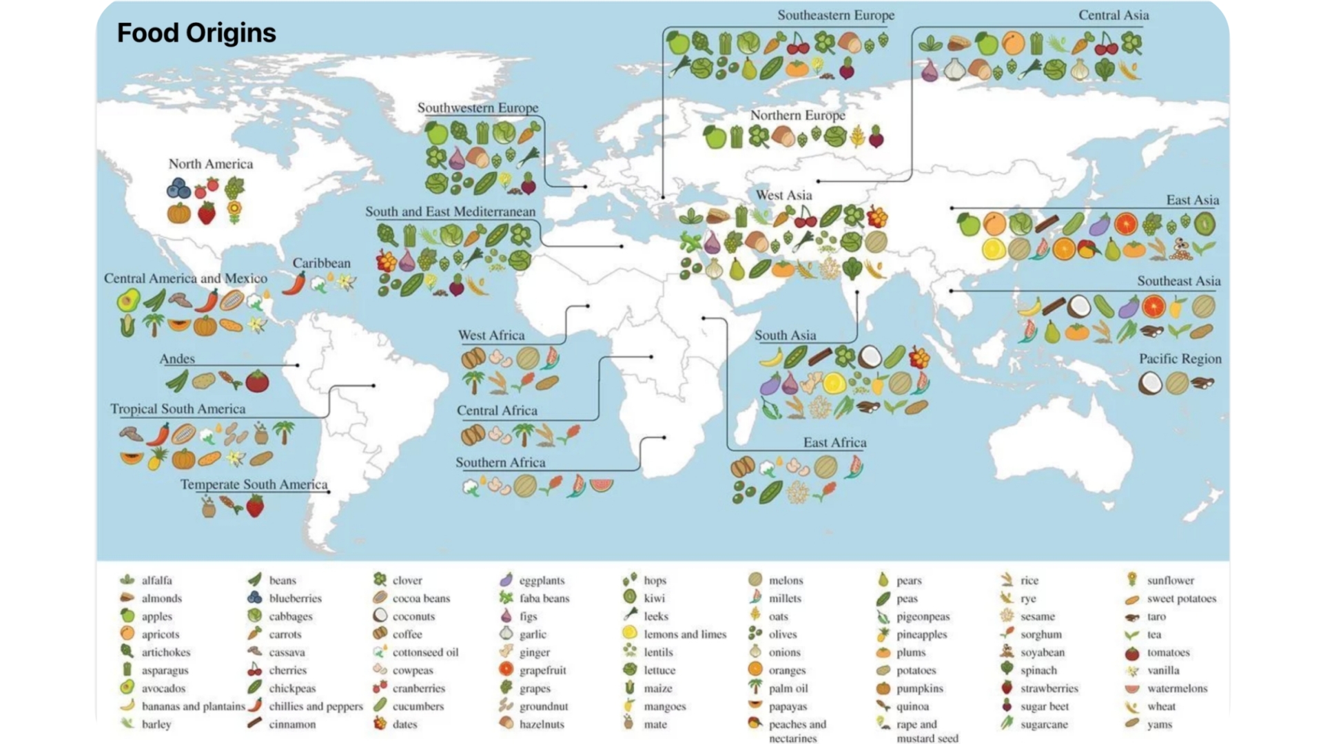 RAKIJA DO TOKIJA: gde ima voća, ima i brendija