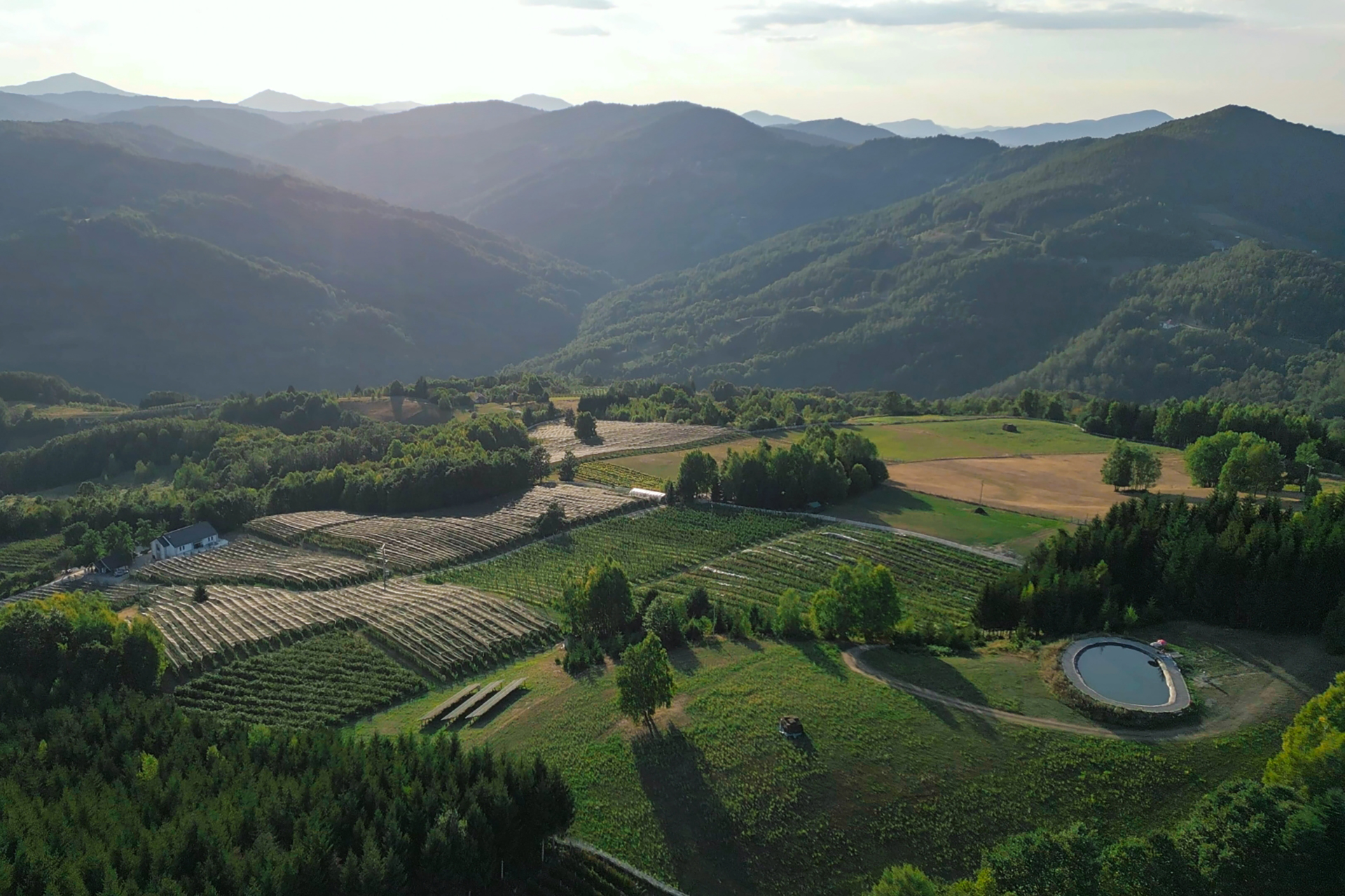 POZIVAMO VAS NA AUTENTIČNO ISKUSTVO "OD VOĆKE DO ČAŠICE"!